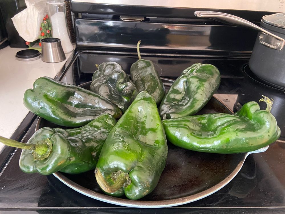 6 poblano peppers on a comal, which will turn into tamales de rajas 