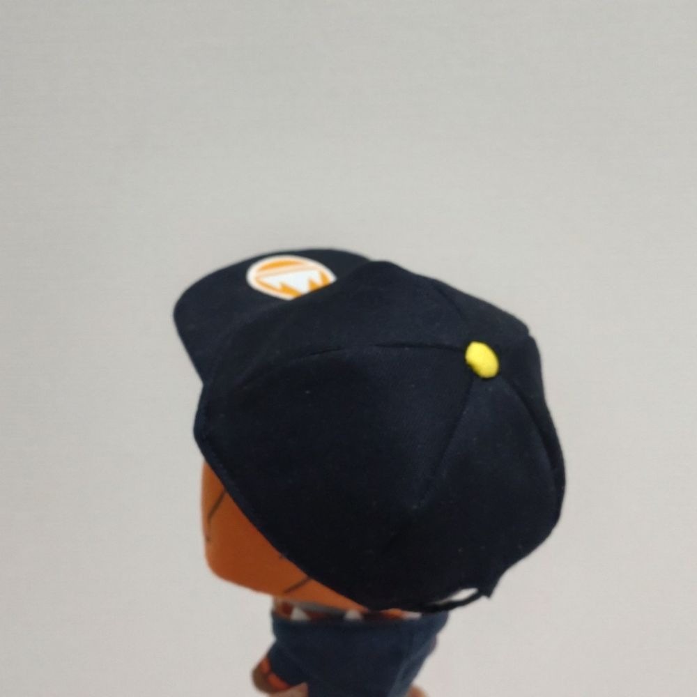 黒いチャンピオンキャップをかぶるポマキの後ろ姿。