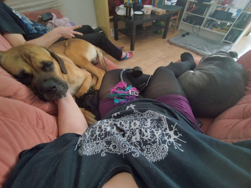 Ein Foto von oben auf die Couch. Sunny sitzt mittig mit einem angefangenen Paracordhalsband, links von them ein brauner Cane Corso im Halbschlaf mit dem Kopf auf Sunnys Hand und daneben ein Mensch, der ein Peacezeichen mir der einen Hand macht und in der anderen eine Fernebedung. Rechts von Sunny liegt ein grauer Hund schlafend.