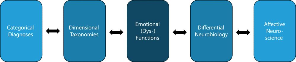 Schematic of the ordered links from categorical diagnoses over dimensional taxonomies, emotional (dys-)function, differential neurobiology to affective neuroscience