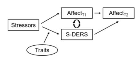 Affect influences affect and S-DERS scores, which both influence later affect scores