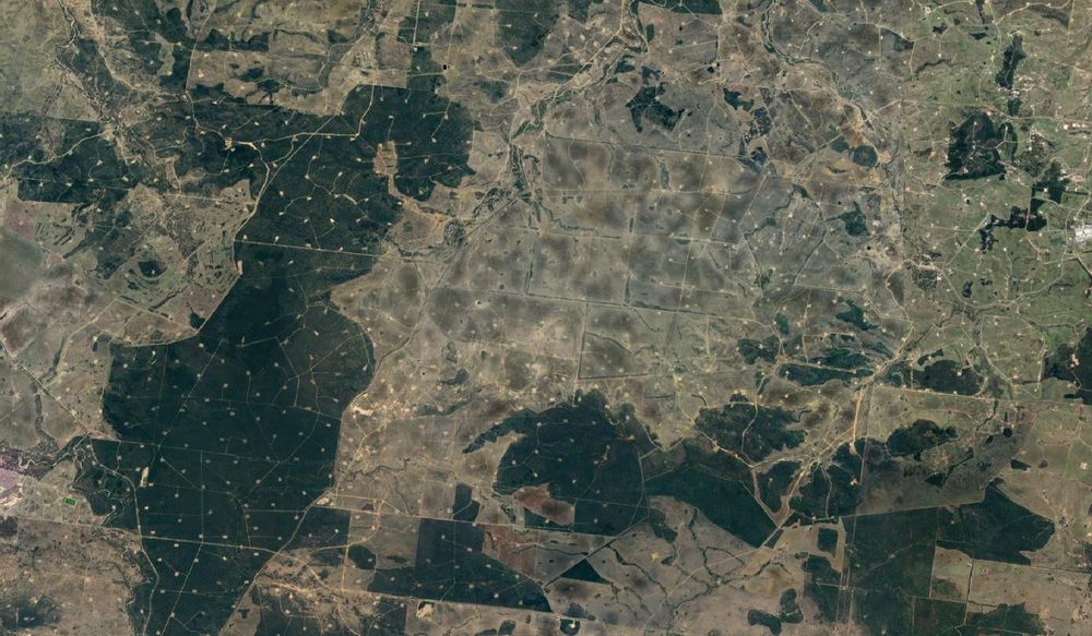 Satellite image of Combabula State Forest, near Clifford, Queensland. The forest is pock-marked by coal seam gas wellheads, as is the entirety of the surrounding lands.
