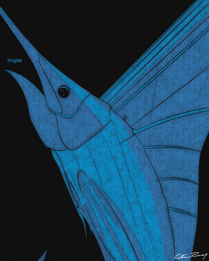 An illustration of a swordfish