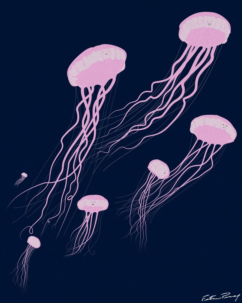 An illustration of pink jellyfish on a navy background with tiny little cartoon faces on them