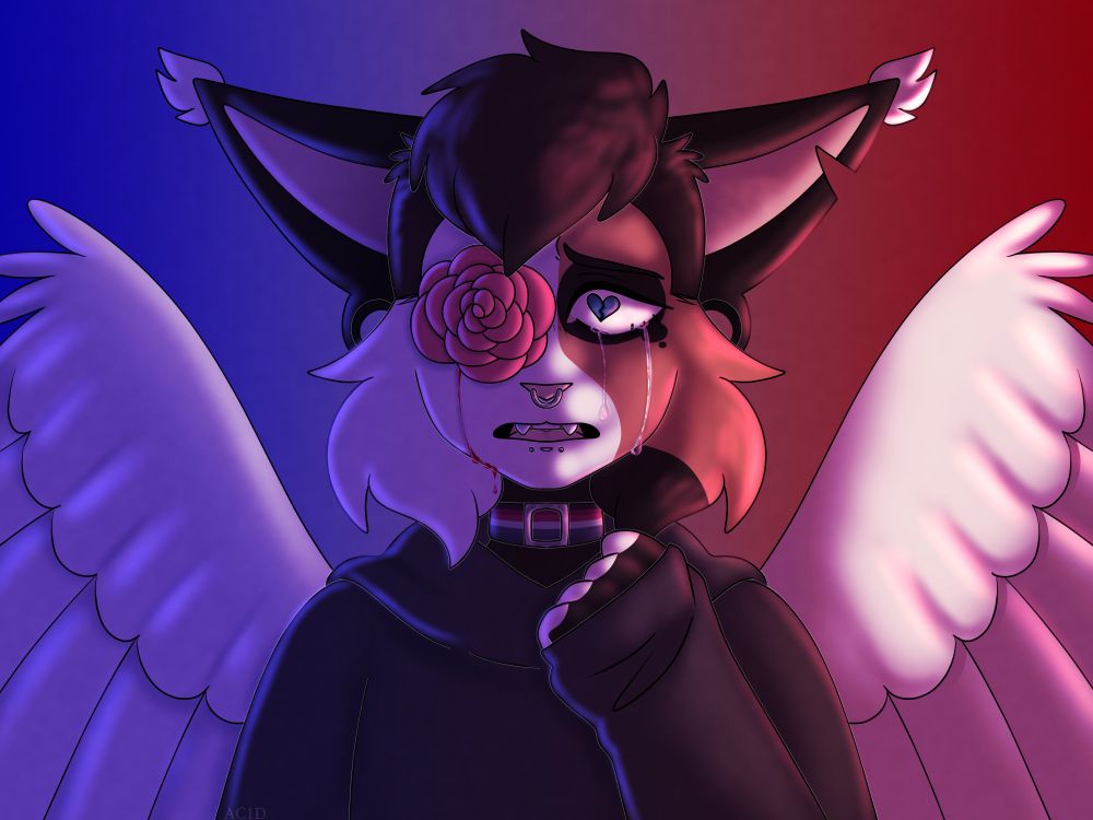 Previous redraw (2022)