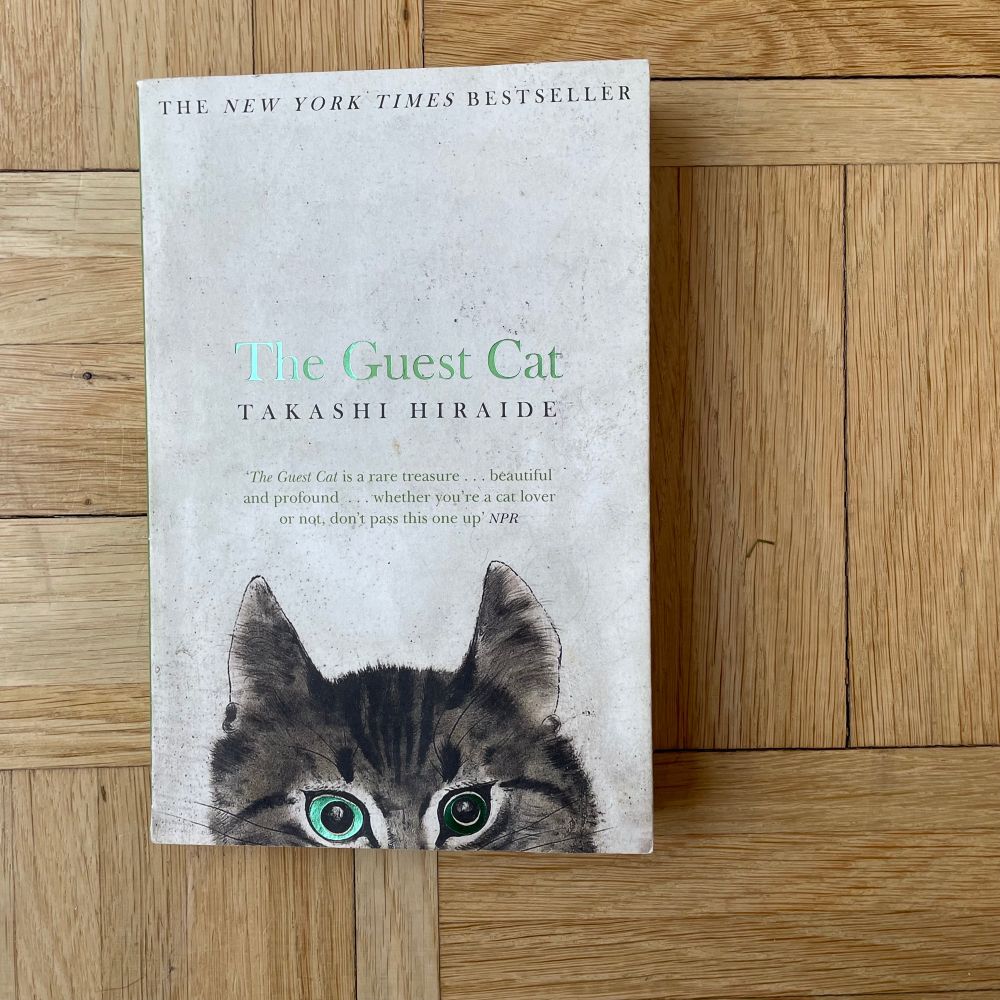 On a wooden background: The Guest Cat by Takashi Hiraide. Cover shows the upper half of a cat’s face with reflective green eyes. 