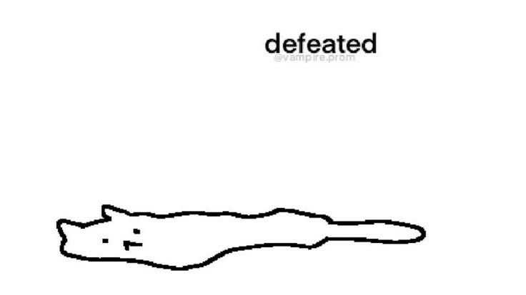 cat in puddle form with text saying "defeated"