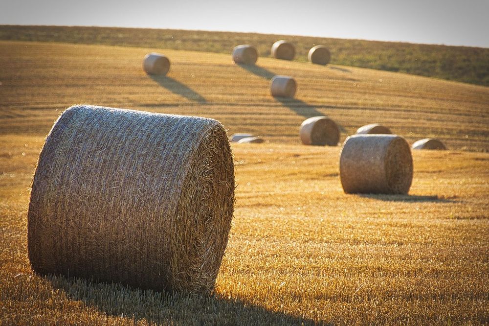 Bitcoin Holders Can Now Earn Automated Yield Via $2B Solv Protocol