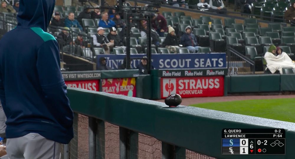 wide shot of said avocado on the tail of the seattle mariners dugout