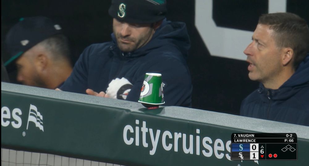 the avocado is now wearing a gatorade cup as a hat
