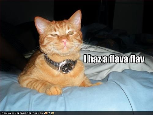 MEME: An orange cat wearing a wristwatch around their neck and looking pretty smug about it. The meme text says, "I haz a flava flav."