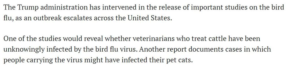 A screenshot from the article that reads, "The Trump administration has intervened in the release of important studies on the bird flu, as an outbreak escalates across the United States.

One of the studies would reveal whether veterinarians who treat cattle have been unknowingly infected by the bird flu virus. Another report documents cases in which people carrying the virus might have infected their pet cats."