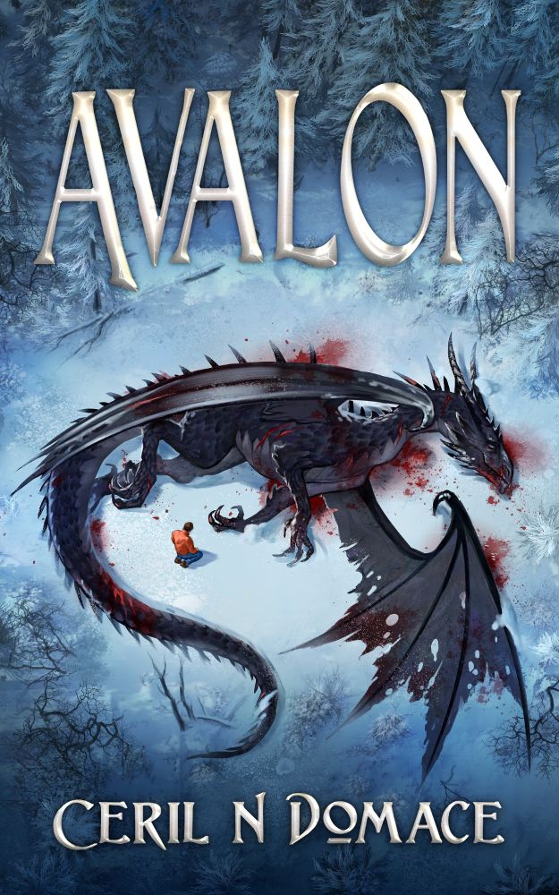 Avalon by Ceril N Domace

A man in an orange sweater kneels in front of a badly wounded black dragon in a frozen meadow.