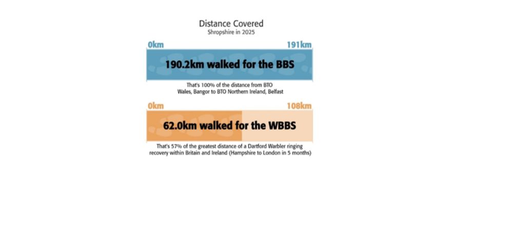 An infographic for the distance walked by volunteers for the Breeding Bird Survey (BBS) in Shropshire (190.2km) and the Wetland BBS (62.0km).