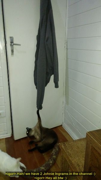 <igor> Hah! we have 2 Johnie Ingrams in the channel :)
<igor> Hey all btw :)