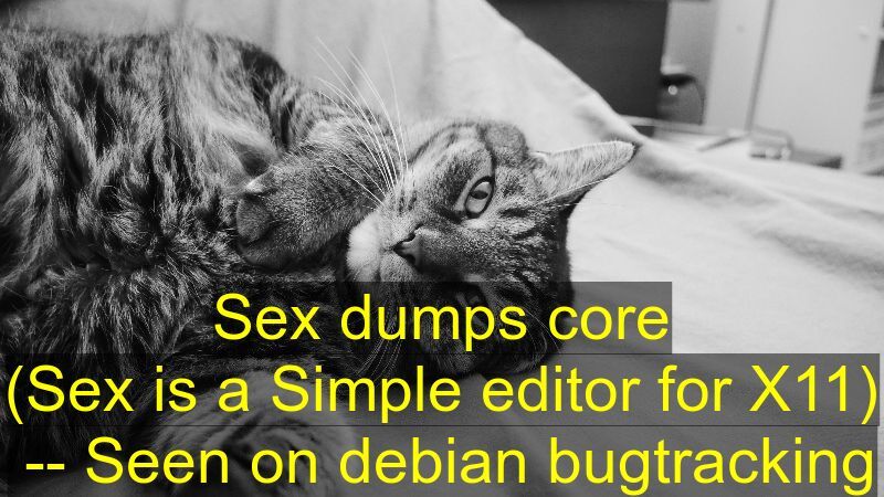 Sex dumps core
(Sex is a Simple editor for X11)
 -- Seen on debian bugtracking