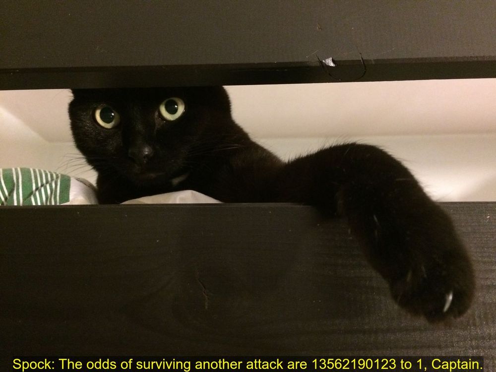 Spock: The odds of surviving another attack are 13562190123 to 1, Captain.