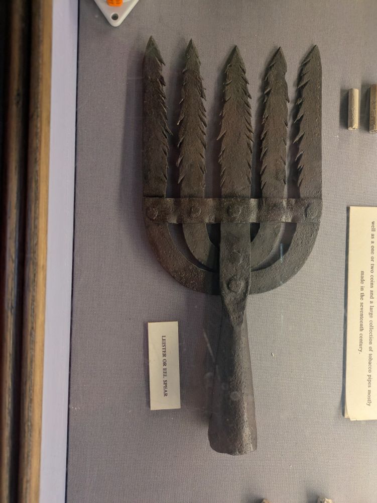 Fork with five wide flat tines with serrated edges and a socket for a wooden shaft. Designed for eel fishing/forking.
