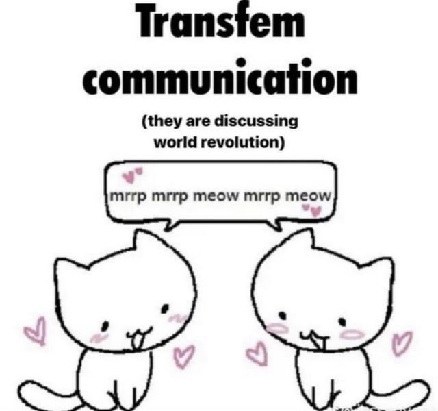 Comment image