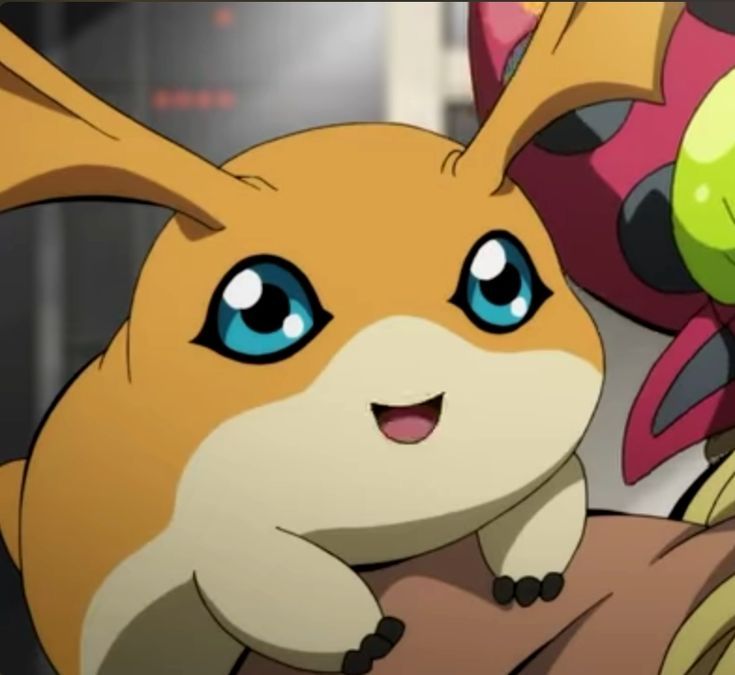 Patamon, an orange chubby hamster digimon with dragon wings