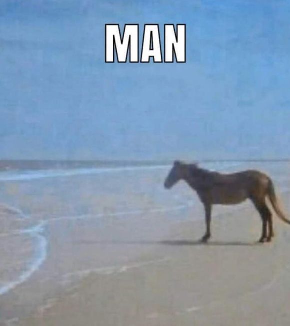 A horse on a beach, gazing out over the water with profound thoughts or regrets, with the word "Man" at the top to emphasize how overwhelmed they feel; short for "Aw, man..."