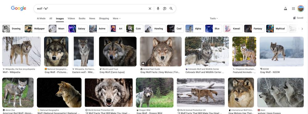 Google image search without AI results