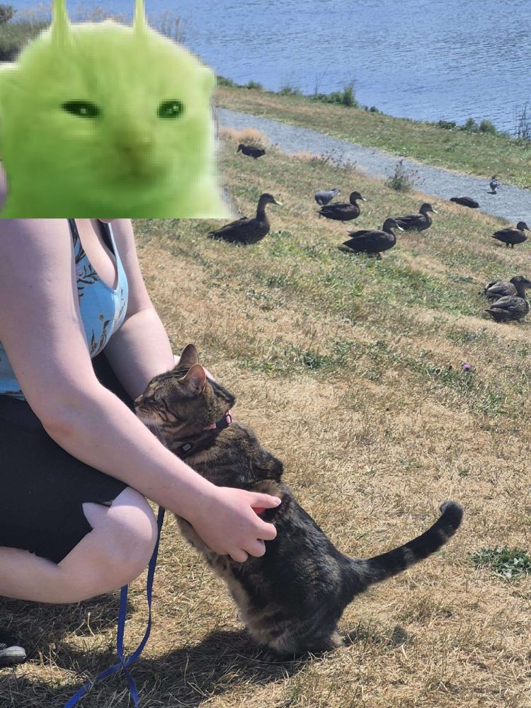 Myself and my cat Mona posing in front of ducks with a picture of the meme Glorp covering my face.