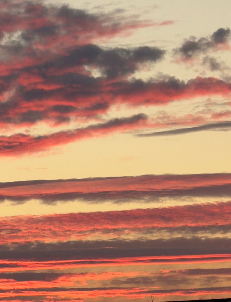 Clouds at sunrise. Layers of bright red-gray illuminated clouds, layers of creamy sky behind, turning red-black upper left. 