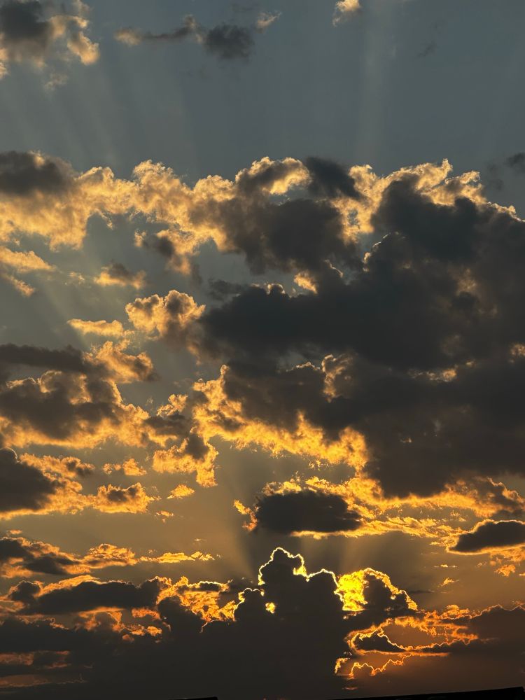 Clouds at sunrise. Illuminated dark gray snd white clouds with pale blue sky behind them.