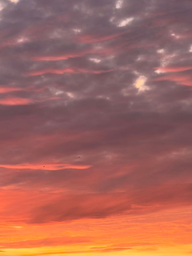 Clouds at sunrise. Illuminated yellow-orange sky turning orange red purple above, topped with light purple frilly clouds. 