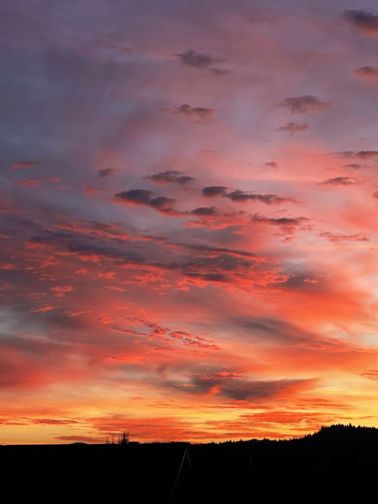 Sunrise. Cascade foothills. Dark landscape, pale yellow sky with red-orange clouds scattered about, sky turning indigo above.