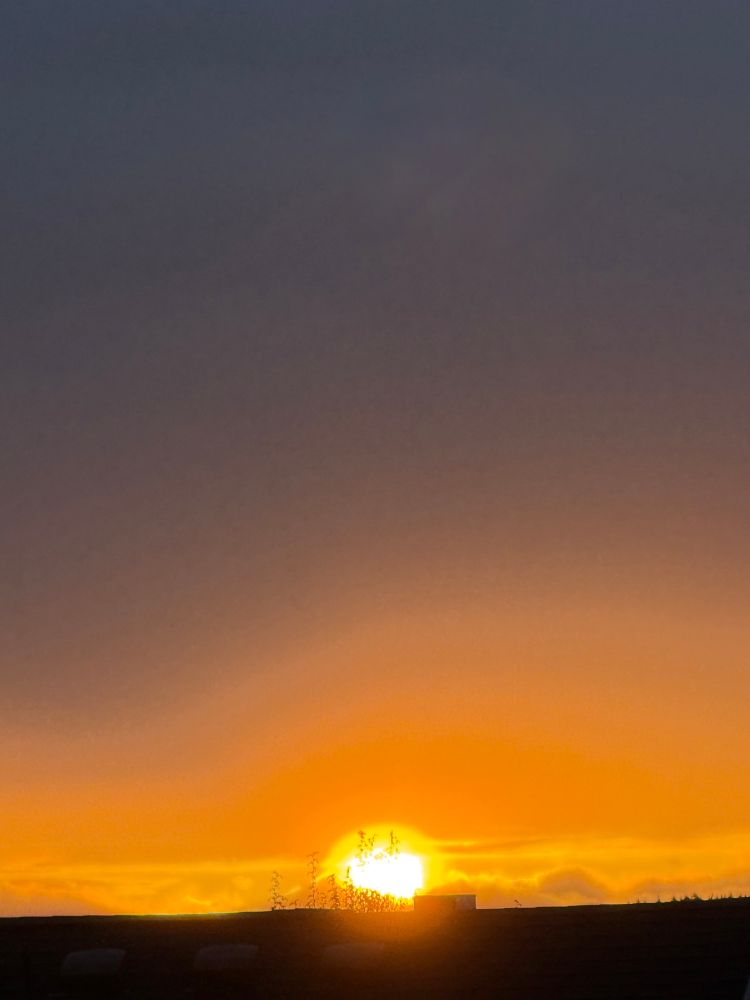 Sunrise. Dark rooftop, sun rising center with a layer of white illuminated clouds around, orange-yellow slightly wavy sky, turning purple-gray above. 