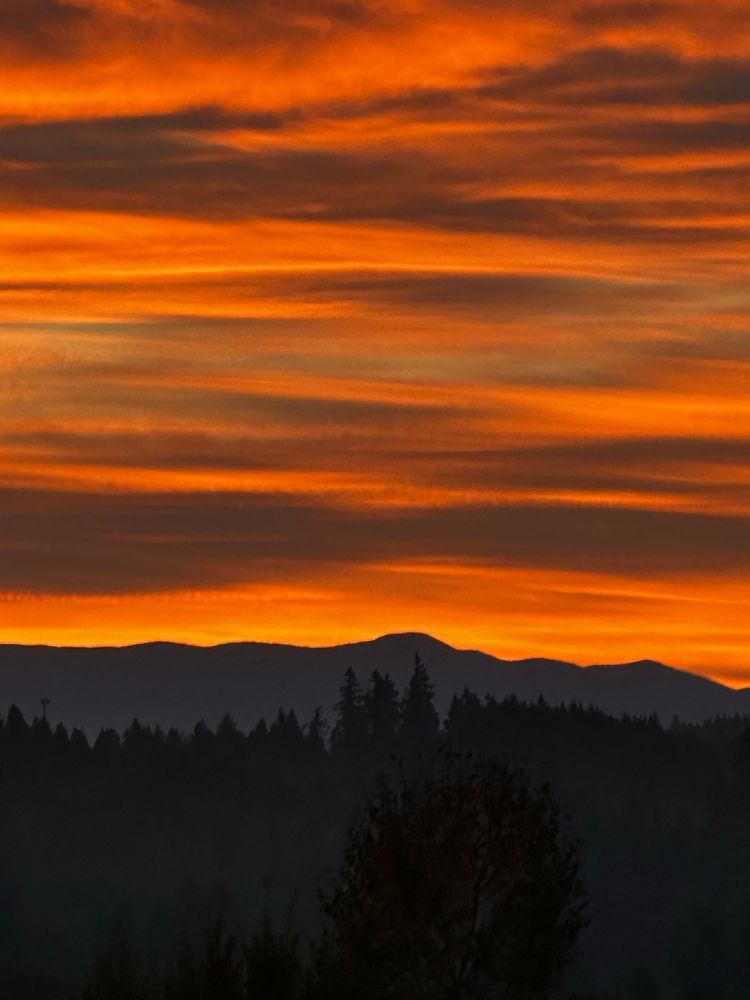 Sunrise. Cascade foothills. Dark conifer trees with three distinctively taller trees in the center, lighter shade of rolling hills behind the trees, layers of orange, red, dark purple clouds with turquoise sky barely showing, repeated layers of color to the top. 