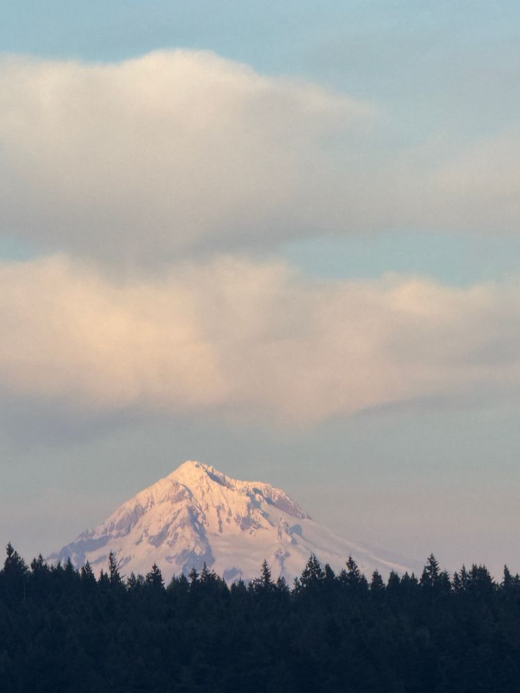Mt. Hood. Dark conifer trees, close up shot of snow covered mountain with some rock exposed, pale blue sky with two thick layers of gray-white clouds.