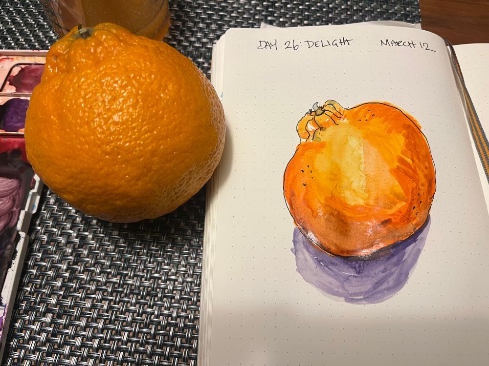 Mediocre water color and pen drawing of a Sumo orange