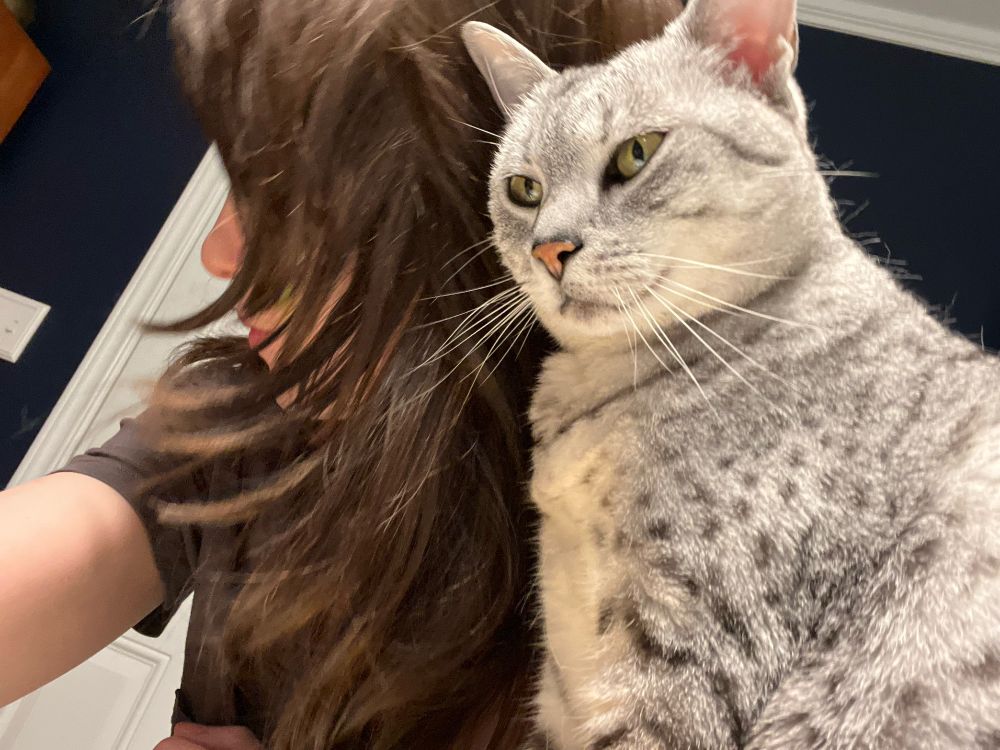 Jonesy, the cat, getting extra cuddly with Yarrow's mop of hair 3am-ish in the morning.