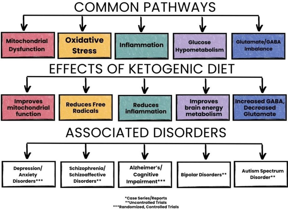 Source: Anderson et al. (2025). The Ketogenic Diet as a Transdiagnostic Treatment for Neuropsychiatric Disorders: Mechanisms and Clinical Outcomes. Current Treatment Options in Psychiatry, 12, 1.
