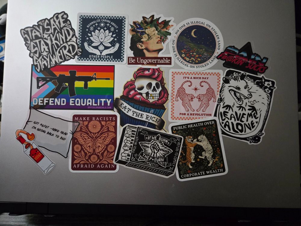 A framework laptop with a variety of stickers covering it; most have leftist themes. Bonus: All stickers are from Pain Propaganda (me!), Bubble Punk Possum, Off Color Decals, and Rogue Petal Designs.