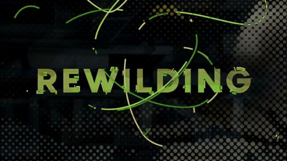 Monologging January 2024: "Rewilding" Teaser