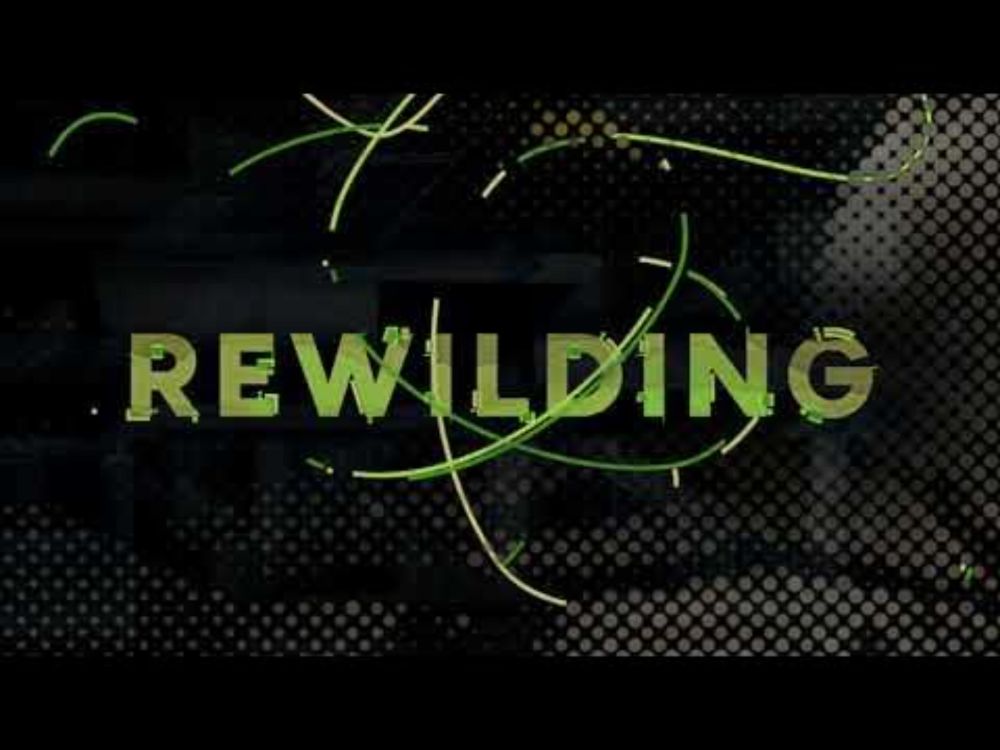 Monologging.org January 2024: "Rewilding" Promotional Video