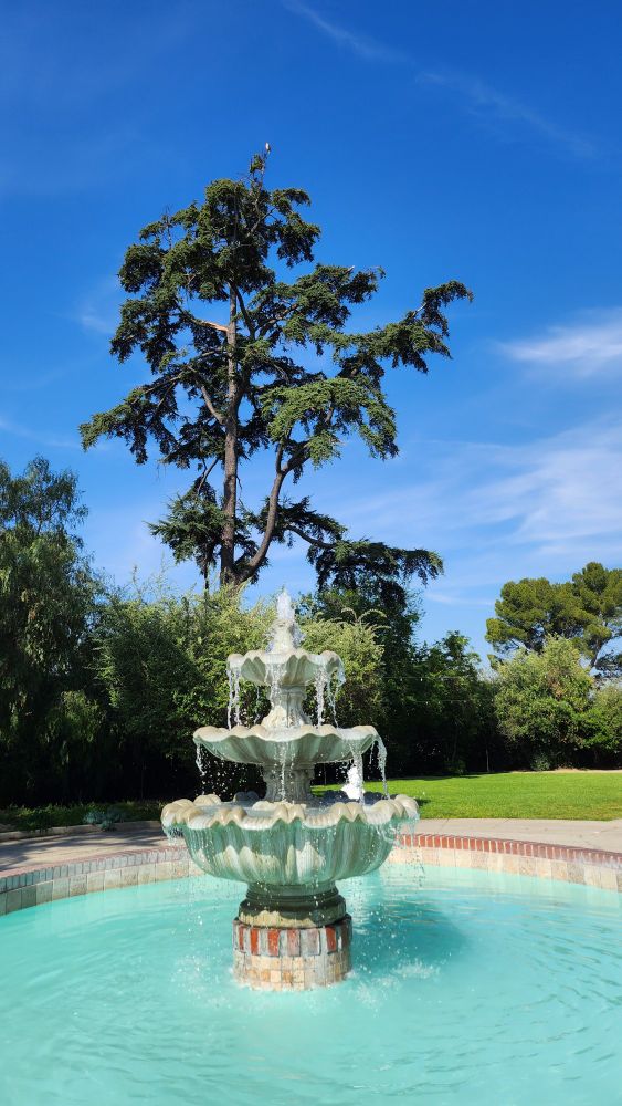 A hawk perches at the tip-top of a tree overlooking a fountain and lawn. 