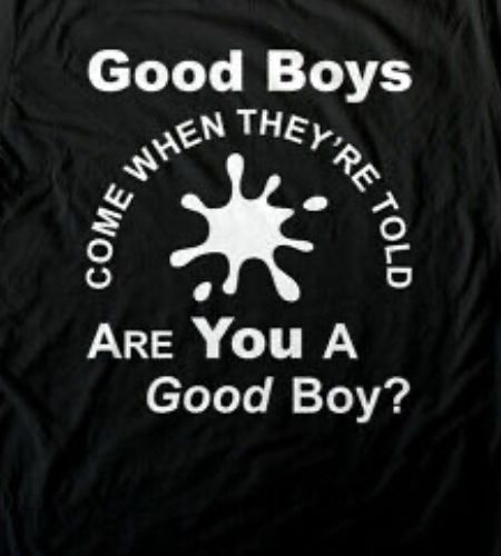 I adore submissive boys especially the good ones who only become good when they’re told.