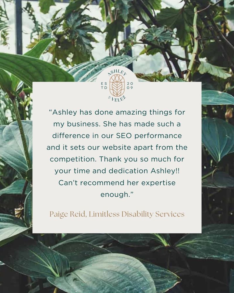 Graphic of greenhouse plants overlayed with text from a client Google review for SEO services. 