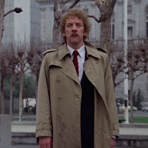 Gif of man pointing and screaming from 'Invasion of the Body Snatchers'