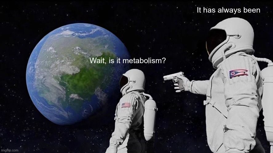 Meme of an astronaut looking at Earth and exclaiming 'wait, is it metabolism?', behind them is another astronaut about to shoot them, saying 'it has always been' 