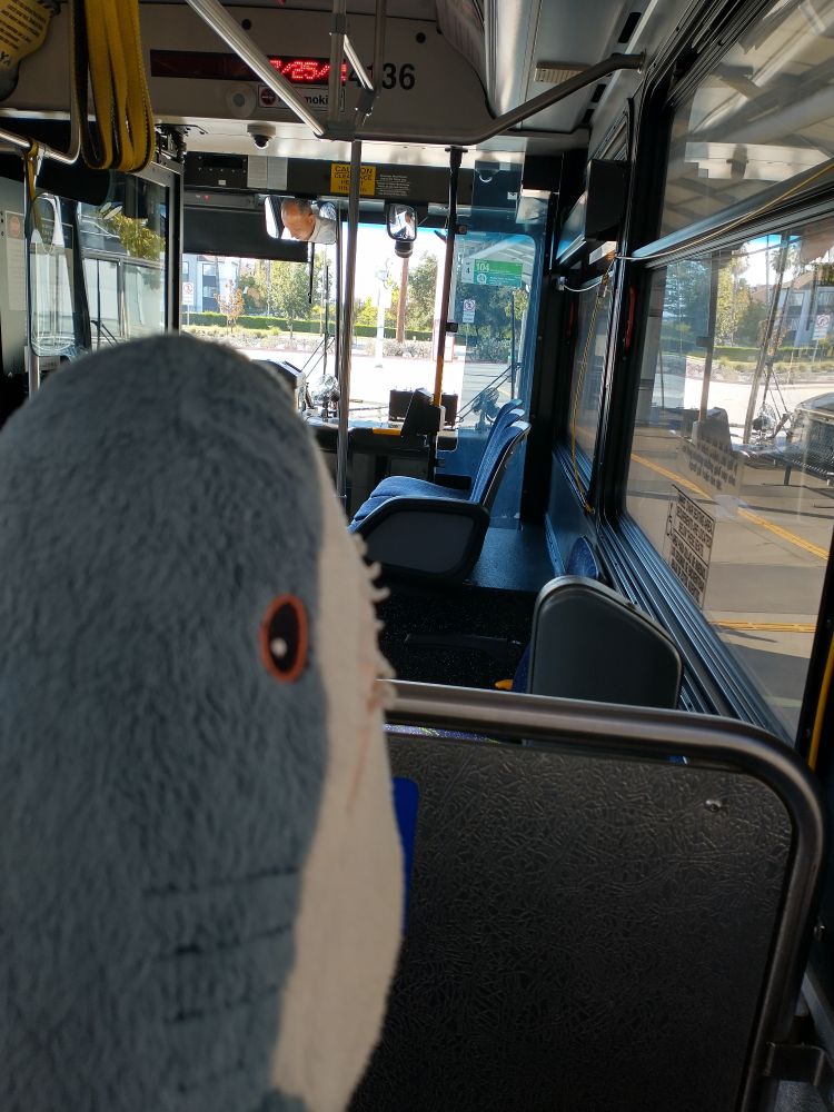 A blahaj riding a bus