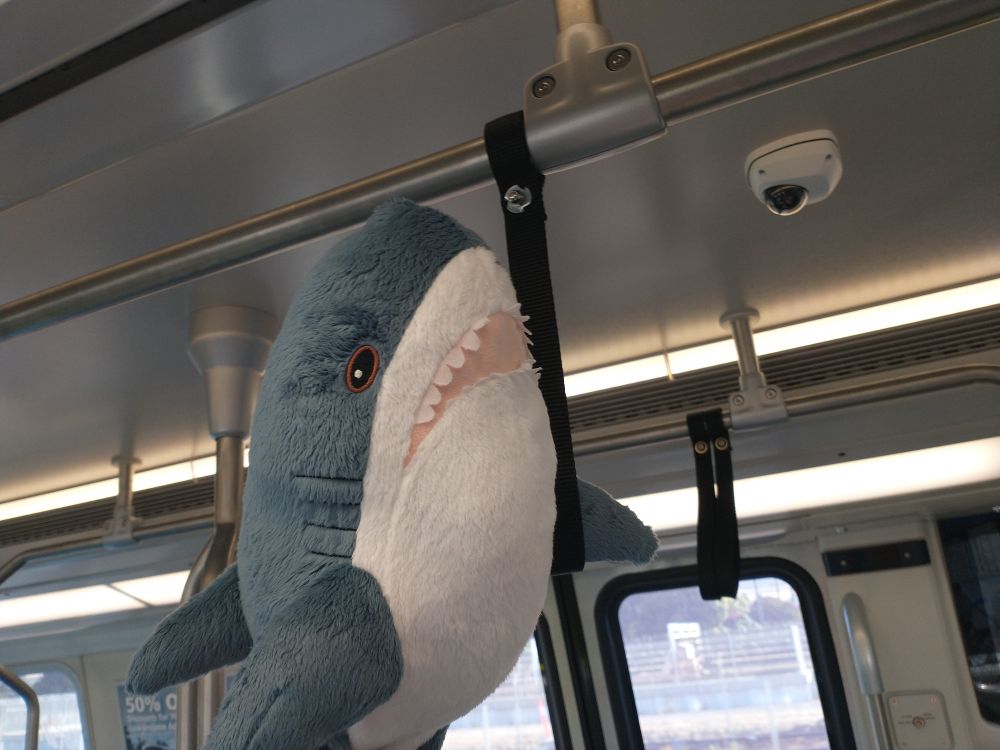 A blahaj holding a strap on BART