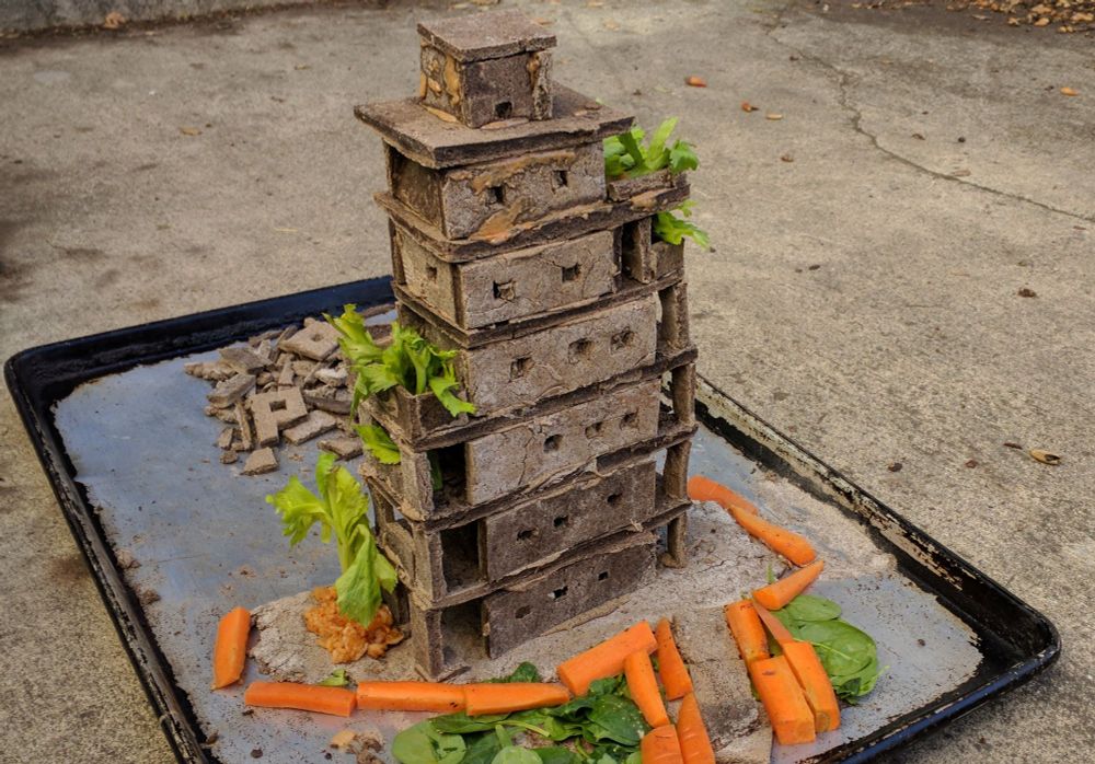 a baking sheet with a 7-story brutalist gingerbread apartment building on it.  There are carrots and celery used as landscaping.  The baking sheet is on a concrete floor which looks exactly like the gingerbread.