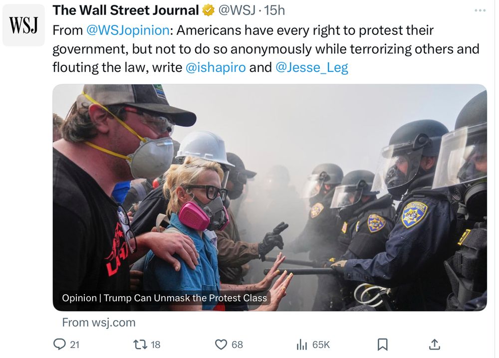 Tweet from July 18 Wall Street Journal account with picture of protesters and law enforcement both wearing masks. Text: “From @WSJopinion: Americans have every right to protest their government, but not to do so anonymously while terrorizing others and flouting the law, write @ishapiro and @Jesse_Leg”