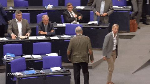 Alice Weidel (Nazischlampe) Verlässt wütend den Plenarsaal des Deutschen Bundestages und stampft mit dem Fuß auf.